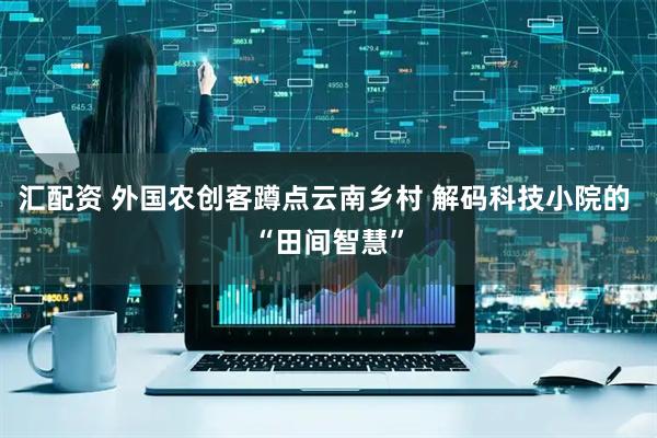 汇配资 外国农创客蹲点云南乡村 解码科技小院的 “田间智慧”