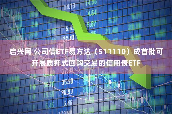启兴网 公司债ETF易方达（511110）成首批可开展质押式回购交易的信用债ETF
