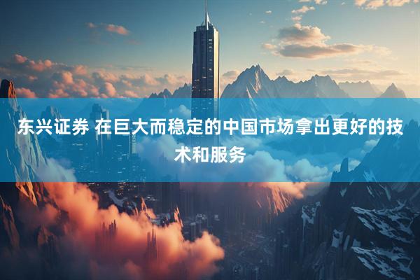 东兴证券 在巨大而稳定的中国市场拿出更好的技术和服务