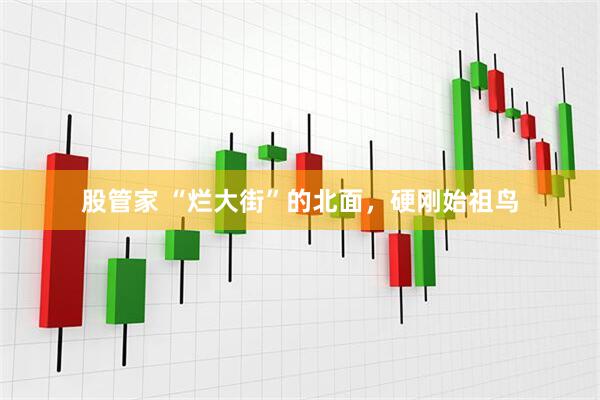 股管家 “烂大街”的北面，硬刚始祖鸟