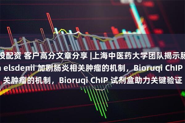 易投配资 客户高分文章分享 |上海中医药大学团队揭示肠道菌 Megasphaera elsdenii 加剧肠炎相关肿瘤的机制,Bioruqi ChIP 试剂盒助力关键验证